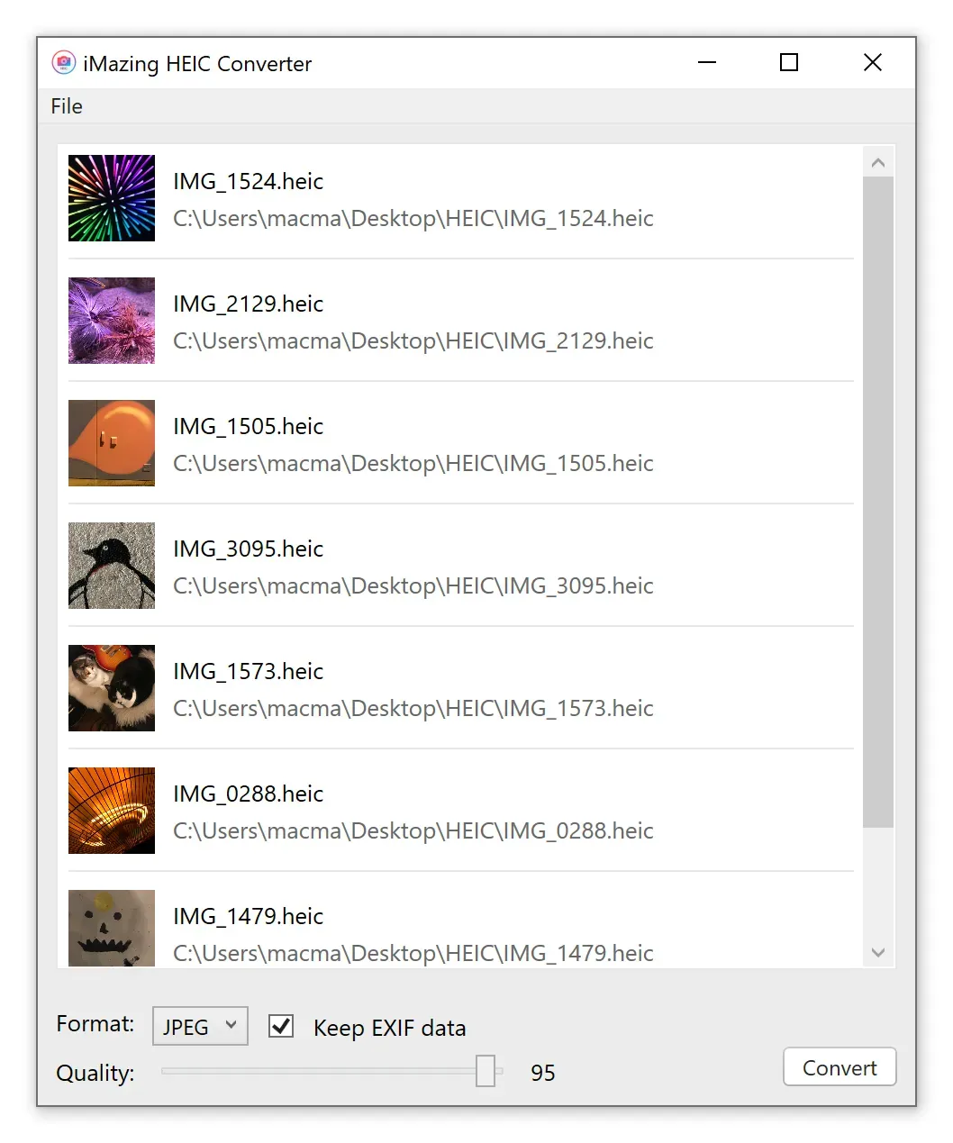 iMazing Converter, Ready to Convert
