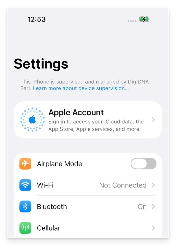 iOS settings view