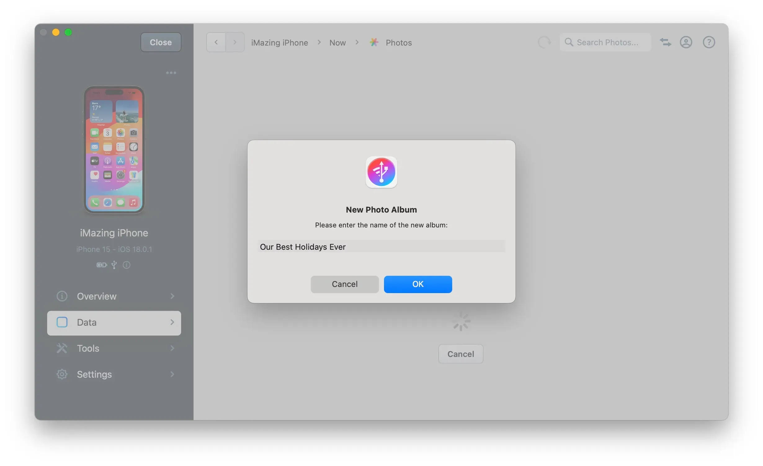 iMazing Photos, Export Options