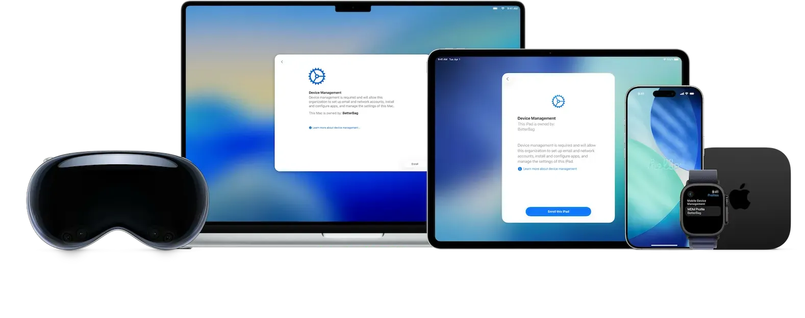 Apple Setup Assistant - Device Management screen